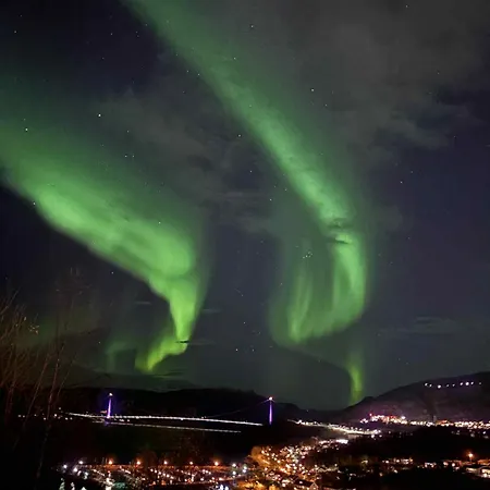 Ankenes Romutleie As Μοτέλ *